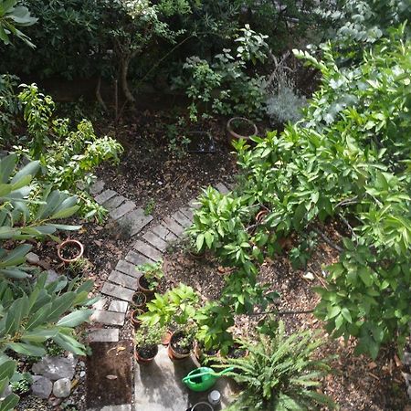 Apartments With A Parking Space Makarska - 11361 المظهر الخارجي الصورة